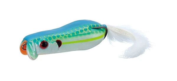 Softshell Showblows Frog 1 Softshell Showblows Frog