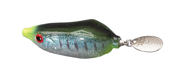 Spintail Frog 1 Spintail Frog