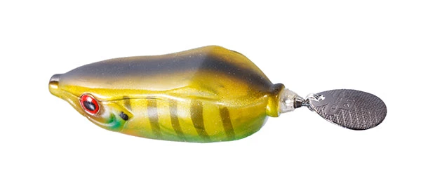 Spintail Frog 9 Spintail Frog - Image 9