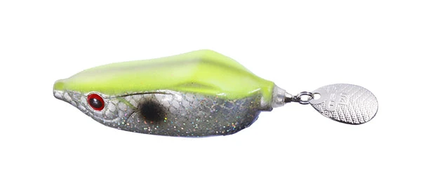 Spintail Frog 2 Spintail Frog - Image 2