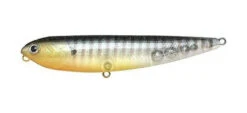 Lucky Craft Sammy 31 Lucky Craft Sammy -go fishing Sammy 100 flake Golden Suznfish
