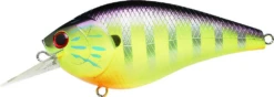 Lucky Craft SKT Magnum 110 Mag MR Crankbaits 25 Lucky Craft SKT Magnum 110 Mag MR Crankbaits -go fishing Screenshot2022 04 249.05.30PM