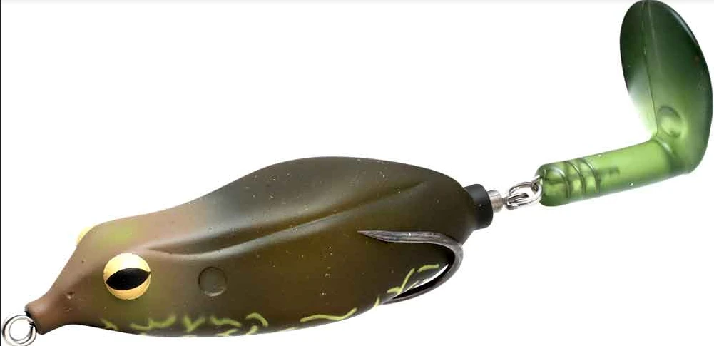 Sprinker Frog 13 Sprinker Frog - Image 13