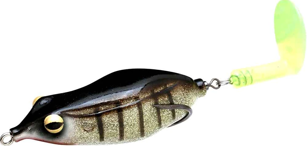 Sprinker Frog 11 Sprinker Frog - Image 11