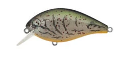 SH-3 Squarebill Crankbait -go fishing Sh3Albinocraw