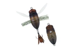 Shinmushi -go fishing ShinmushiSemigara