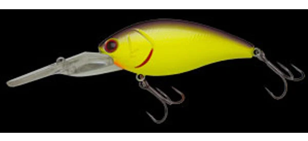 Shot Over 5 4 Shot Over 5 - Image 4