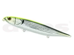 Huge Pencil Skater 19 Huge Pencil Skater -go fishing SkaterKonoshiro