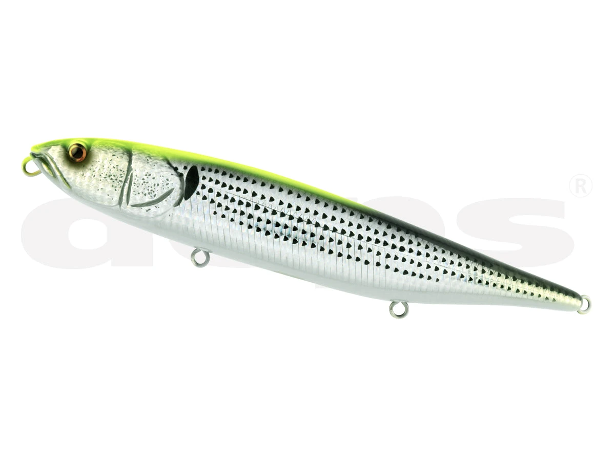 Huge Pencil Skater 10 Huge Pencil Skater - Image 10