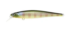 Lucky Craft Slender Pointer 24 Lucky Craft Slender Pointer -go fishing Slender Pointer BE gill