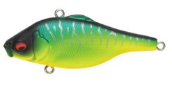 Megabass Vibration-X Smatra Bone Knocker 13 Megabass Vibration-X Smatra Bone Knocker -go fishing SmatrsaMatTiger