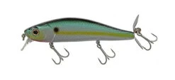 Spiral Minnow -go fishing Spiral Minnow CHart Sexy Shad