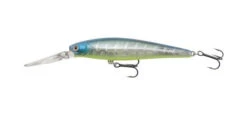Lucky Craft Staysee -go fishing Staysee bone pro blue