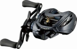 Daiwa Steez A TW HLC Casting Reel
