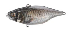 Jackall TN 50 -go fishing TN50 Scale Minnow