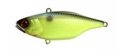 Jackall TN Disk Knocker -go fishing TNDk S Chartreuse 1