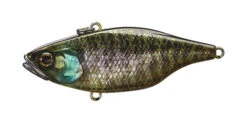 Jackall TN Disk Knocker -go fishing TN DK Holo Bluegill 1