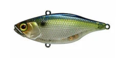 Jackall TN Disk Knocker -go fishing TN Dk Sg Threadfin