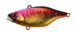 Jackall TN Disk Knocker -go fishing TN Dk Spawning Tiger 1