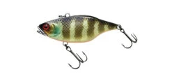 Jackall TN70 Skull Shell -go fishing TN Gold Gill