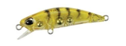 Tetra Works Toto 42S -go fishing TW TOTO 42S CCC0312 GoldShrimp