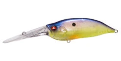Megabass IxI Shad TX -go fishing TXImakatsubream