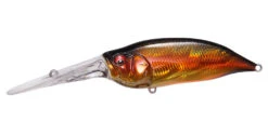 Megabass IxI Shad TX -go fishing TXKasumiMagic