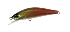 Spearhead Ryuki 50S Takumi -go fishing Takumi Himemasu