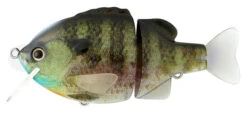 Tiny Bulldoze 11 Tiny Bulldoze -go fishing TinyB RealBluegill 600 1