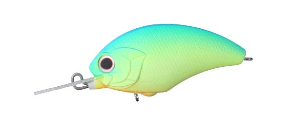 Tiny Blitz MR 11 Tiny Blitz MR - Image 11