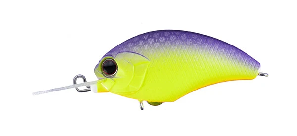 Tiny Blitz MR 5 Tiny Blitz MR - Image 5