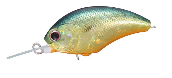 Tiny Blitz MR 2 Tiny Blitz MR - Image 2