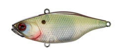 Jackall TN Disk Knocker -go fishing Tn DK To Muddy Shad 1