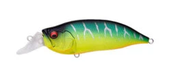 Megabass IxI Shad Type-R -go fishing Tr Mat Tiger