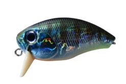 Buzzin' Crank Heavy Hitter 20 Buzzin' Crank Heavy Hitter -go fishing TsuresuGill