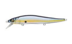 Megabass Ito Vision 110 Silent -go fishing VISIONONETEN MEGABASSSEXYSHAD 86a41088 353e 487d bfa4 9c1d0acbed56