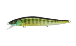 Megabass Ito Vision 110 FX Tour Premium -go fishing VISIONONETENFX PUMPKINSEED