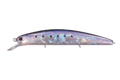 Varuna Sinking -go fishing VarunaHS09