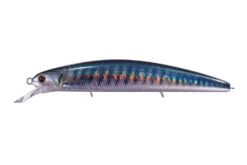 Varuna Sinking -go fishing VarunaRPO32