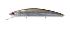 Varuna Spec 2 -go fishing Varuna HS12