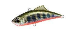 Spearhead Ryuki Vibe -go fishing Vibe Yamame Red Belly