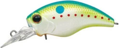 WH-3 Crankbaits -go fishing WH3 CHampion Shad