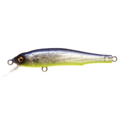 Megabass X-70 BFS -go fishing X 70 BFS ELEGYBONE