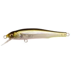Megabass X-70 BFS -go fishing X 70 BFS HTITOTENNESSEESHAD