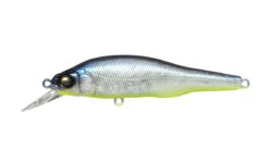 Megabass X-80 Trick Darter