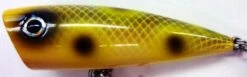 Magnum Popper -go fishing Yellofrog