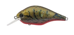 Zeruch -go fishing ZR4OliveCraw