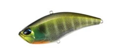Apex Vibe 100 32 Apex Vibe 100 -go fishing apex lg ghost gill