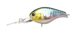 Lucky Craft Clutch Series -go fishing clutch japan shad