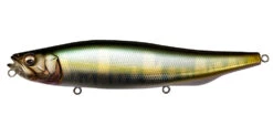 Megabass Megadog-X